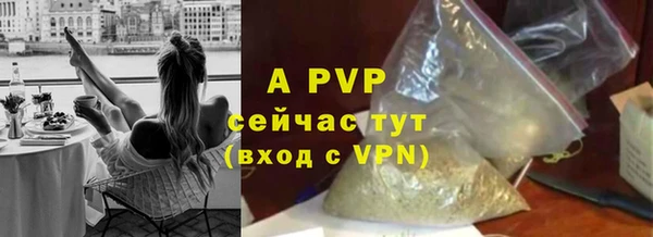 прущие грибы Нягань