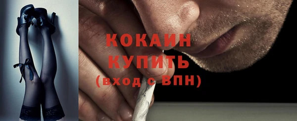 прущие грибы Нягань
