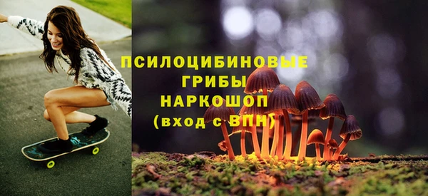 прущие грибы Нягань