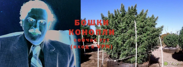 ПСИЛОЦИБИНОВЫЕ ГРИБЫ Нязепетровск
