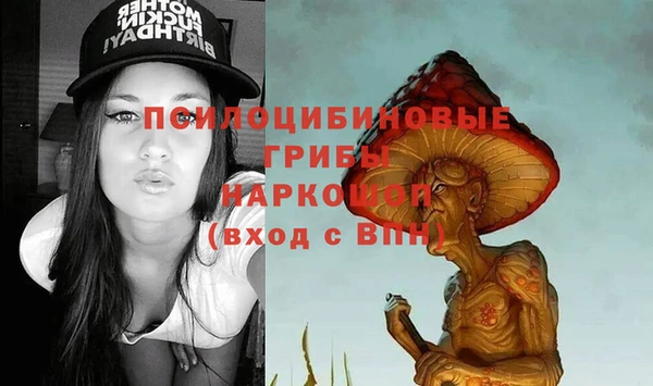 ПСИЛОЦИБИНОВЫЕ ГРИБЫ Нязепетровск