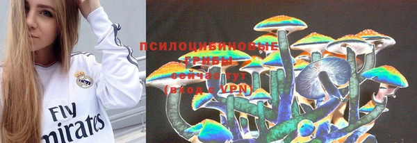 ПСИЛОЦИБИНОВЫЕ ГРИБЫ Нязепетровск