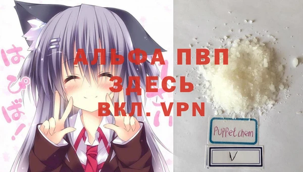 прущие грибы Нягань