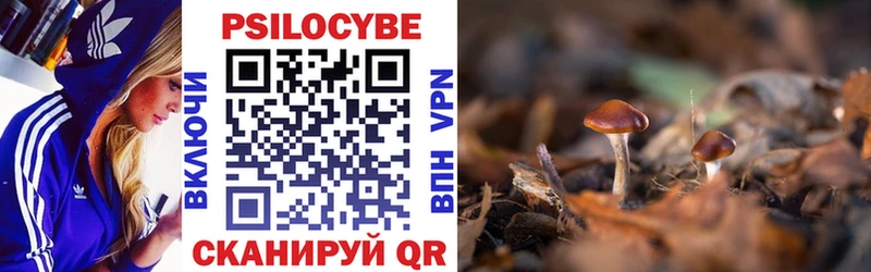 блэк спрут ONION  Аргун  Псилоцибиновые грибы Magic Shrooms  наркота 
