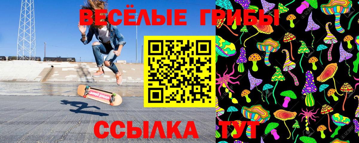 Галлюциногенные грибы мухоморы  Аргун 