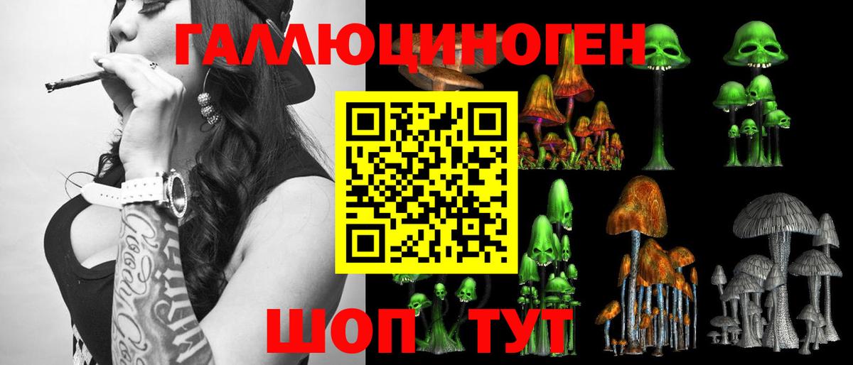Аргун  Псилоцибиновые грибы Cubensis  Вход с VPN 