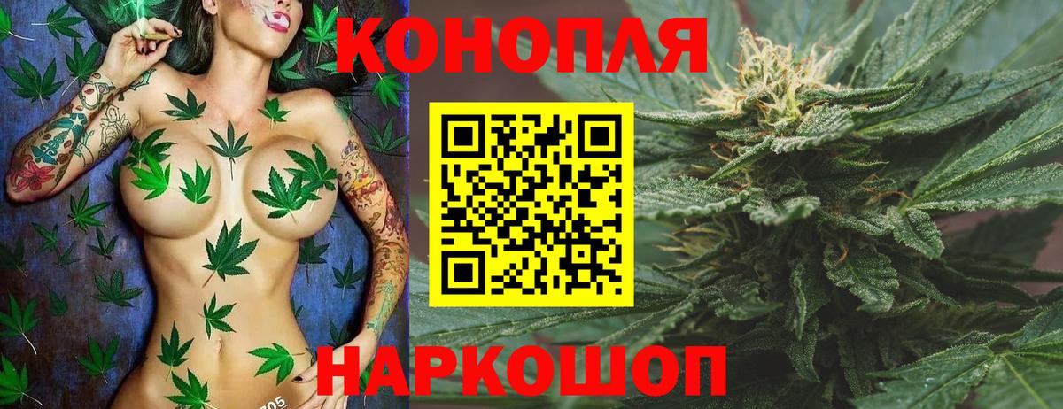 Аргун  Бошки марихуана тримм  Бошки марихуана THC 21%  Канабис Bruce Banner  Вход с VPN 